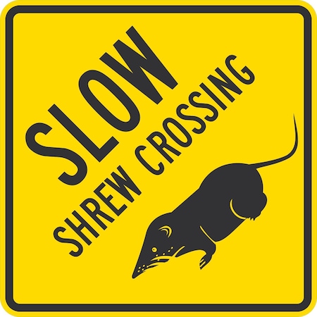 Lyle Slow Shrew Crossing (with Shrew Graphic), 30x30, Non-Reflective, Yellow G-15493-NA_30x30