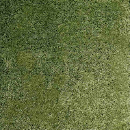 Msi Emerald Green Sample Pre Cut Artificial Grass Turf Roll ZOR-PC-TRF-0004-SAM