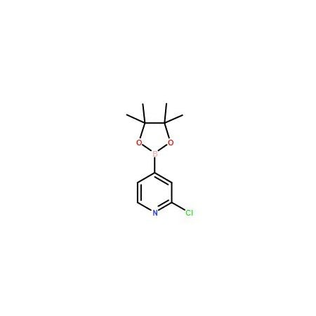 Ak Scientific 2-Chloropyridine-4-boronic acid pinacol ester (25g), CAS 458532-84-8 X0813-25g