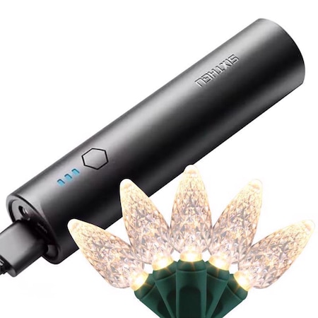 Celebrations Platinum LED C6 Warm White 50 ct String Smart-Enabled Christmas Lights 16.3 ft. CPC650WWA