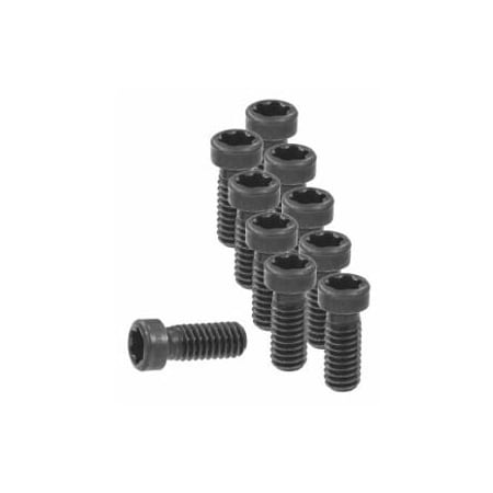 Garant Set of Insert Screws, 10 Pieces 219832