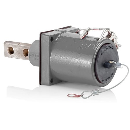 Leviton Plugs and Receptacles 49FR2-XGY