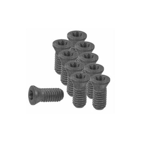 Garant Set of Insert Screws, 10 Pieces 219809