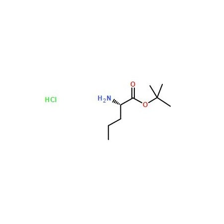 Ak Scientific L-Norvaline t-butyl ester HCl (5g), CAS 119483-47-5 G541-5g