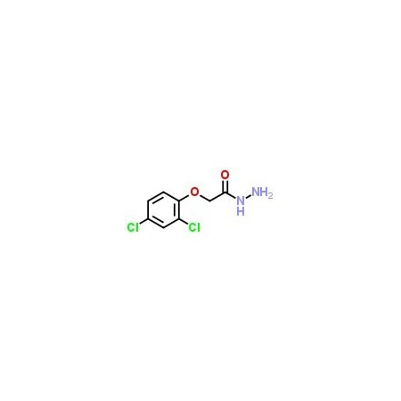 Ak Scientific 2, 4-Dichlorophenoxyacetic acid hydrazide (1g), CAS 28236-62-6 C323-1g