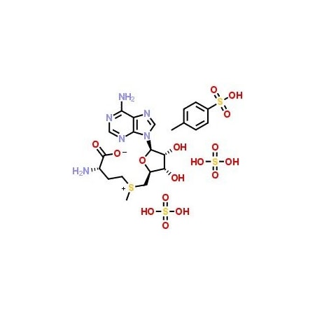 Ak Scientific Ademetionine disulfate tosylate (100mg), CAS 97540-22-2 R922-100mg