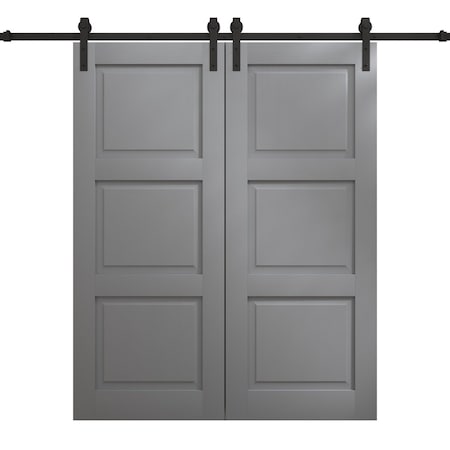 Sartodoors Modern Double Barn Door 48 x 96 inches, Ego 5010 Painted Grey Oak, 13FT Rail Track Set, Solid Pan EGO5010DB-SEK-4896