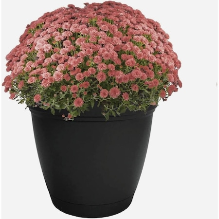 Hc Companies Eclipse 10'' Black Planter with Saucer ECA10000G18