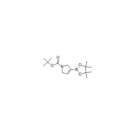 Ak Scientific 1-Boc-2, 5-Dihydro-1H-pyrrole-3-boronic acid, pinacol ester (1g), CAS 212127-83-8 W4420-1g