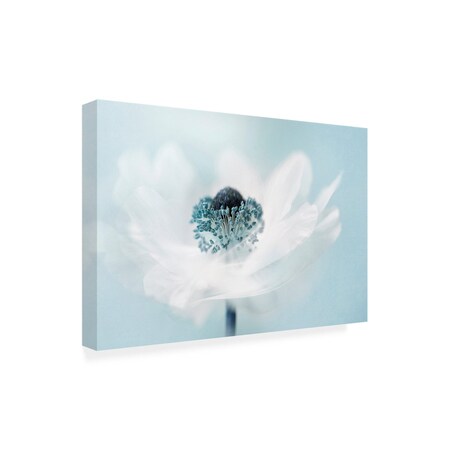 Trademark Fine Art Outdoor Canvas Art - Jacky Parker 'Candy Floss' Wall Art for Patios, or Gardens 1X10954-OC1624WR