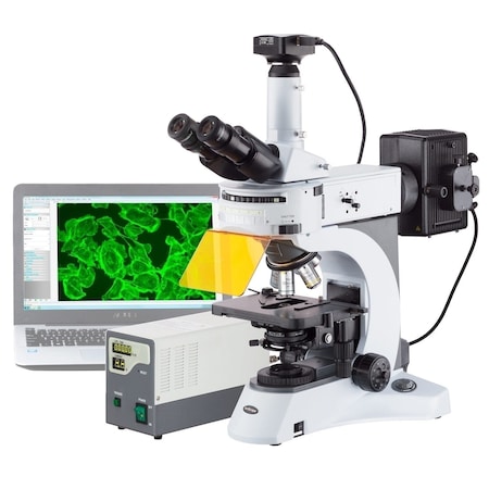 Amscope FM820 Upright EPI-Fluorescence Trinocular Compound Microscope 40X-2500X w/Rotating Multi-Filter Tur FM820TC-9MG3