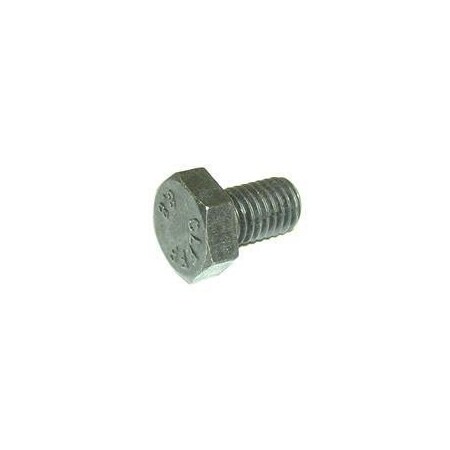 Jlg REPLACEMENT CAPSCREW 10731702