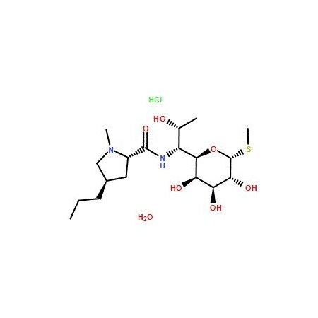 Ak Scientific Lincomycin hydrochloride monohydrate (100g), CAS 7179-49-9 2516AH-100g