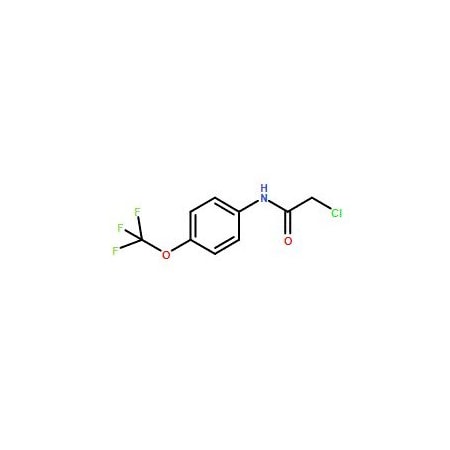 Ak Scientific 2-Chloro-N-[4-(trifluoromethoxy)phenyl]acetamide (100g), CAS 161290-85-3 Y7708-100g