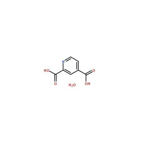 Ak Scientific 2, 4-Pyridinedicarboxylic acid monohydrate (100g), CAS 207671-42-9 X4359-100g