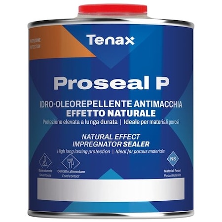 Tenax Proseal P Quart - Premium Natural Effect Stone Sealer. Suitable for the Treatment of All Types of S TPP