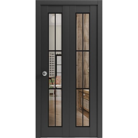 Sartodoors Sliding Closet Bi-fold Doors, Lucia 2366 Matte Black with Clear Glass and Aluminum Strips, Sturdy LUCIA2366BF-BLK-60 x 96 (2* 30x96)