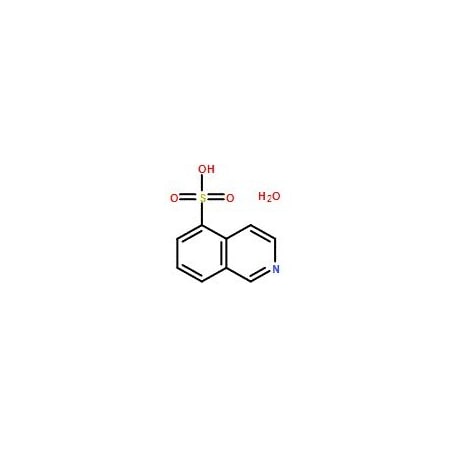 Ak Scientific 5-Isoquinolinesulfonic acid monohydrate (5g), CAS 27655-40-9 8161AF-5g