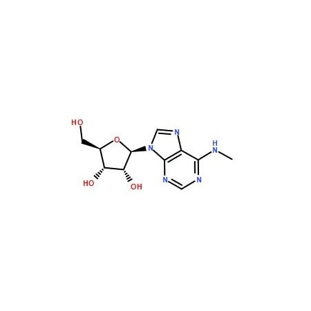 Ak Scientific N6-Methyladenosine (25g), CAS 1867-73-8 2575AH-25g