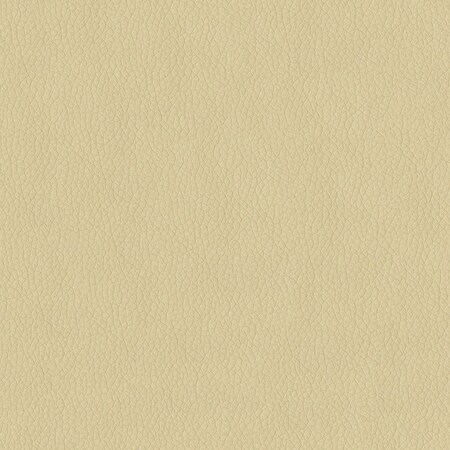 Abbeyshea Parchment, Polyurethane Coated Faux Leather Fabric, 9 in L, 9 in W KENDR605M9X9