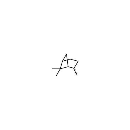 Ak Scientific Pinane, mixture of (endo & exo) isomers (1g), CAS 473-55-2 M829-1g