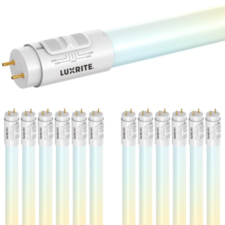 Luxrite 4FT T8 LED Tube Light, 13W (32W Equivalent), 1900 Lumens, 12PK LR34244