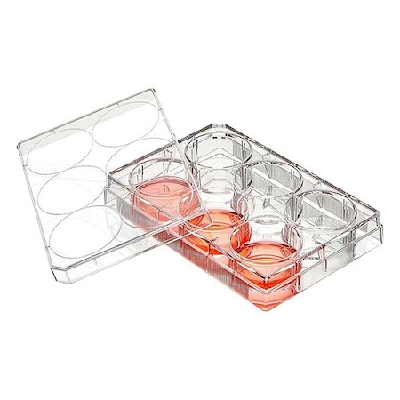 Globe Scientific Well Plate, Colorless, PK50 TC-PLT-6-NT