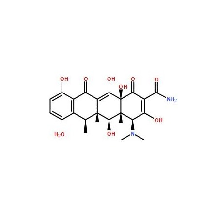 Ak Scientific Doxycycline monohydrate (5g), CAS 17086-28-1 E236-5g