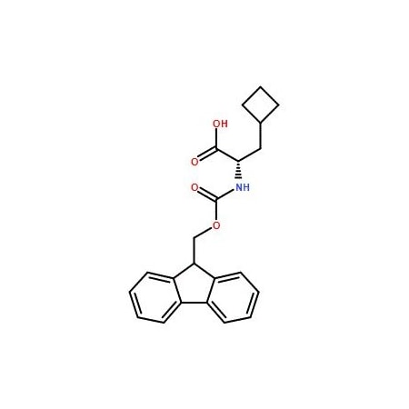 Ak Scientific Fmoc-β-Cyclobutyl-Ala-OH (1g), CAS 478183-62-9 V6113-1g
