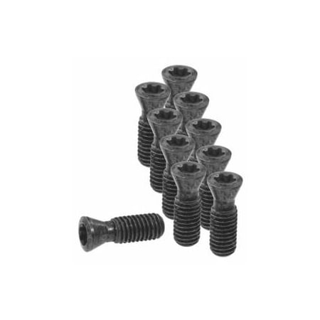 Garant Set of Insert Screws, 10 Pieces 219822