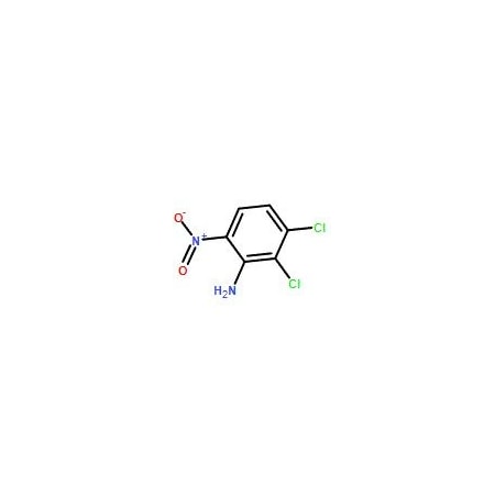 Ak Scientific 2, 3-Dichloro-6-nitroaniline (10g), CAS 65078-77-5 1870AL-10g