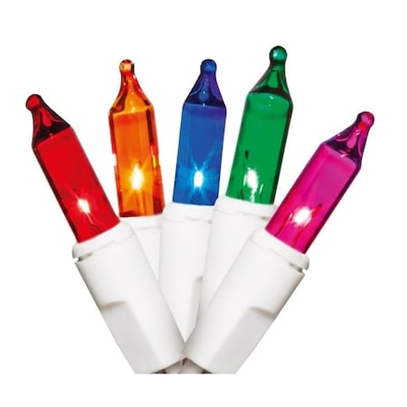 Hometown Holidays Light Set, Christmas, 120 V, 20.4 W, 50-Lamp, Incandescent Lamp, 1000 hr Average Life U13Y023I