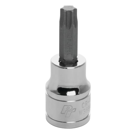 Perform Tool Torx Bit Use With 3/8 In Drive Socket; 6 Point; T40; Polished; Alloy Steel Bit With Chrome Vanadium W38840