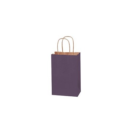 Bubblefast 250-5 1/2 x 3 1/4 x 8 3/8'' Purple Tinted Shopping Bags, 250PK BFBGS114PU