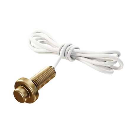 Aci 1K Ohm RTD, Flush Mount Button, Brass A/1K-2W-BBS