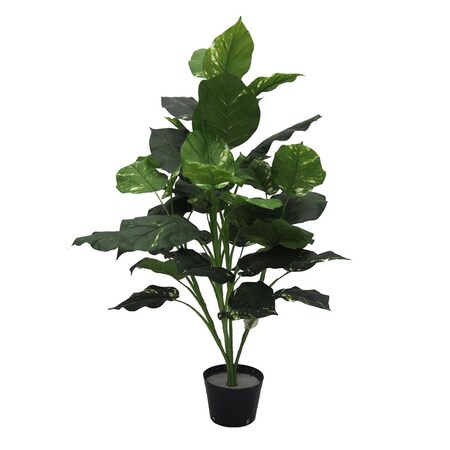 Vickerman Pothos Plant X5 Everyday Tree - 36 in. TP170136