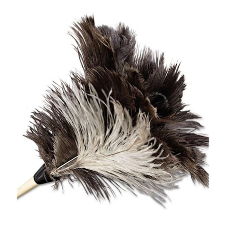 Pinpoint Professional Ostrich Feather Duster with 7 in. Wood Handle - Natural PI3205457