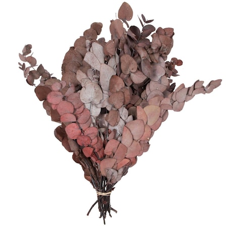 Vickerman 3.5 oz 18 to 20 x 9 in. Eucalyptus Spiral, Red H1ESP475