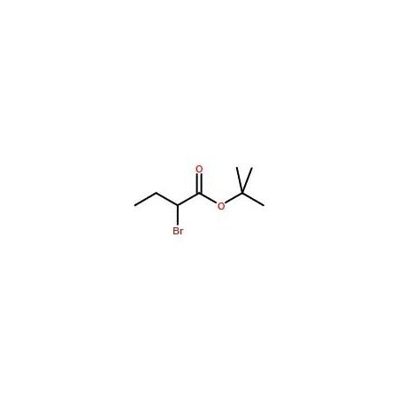Ak Scientific tert-Butyl 2-bromobutanoate (5g), CAS 24457-21-4 X6047-5g