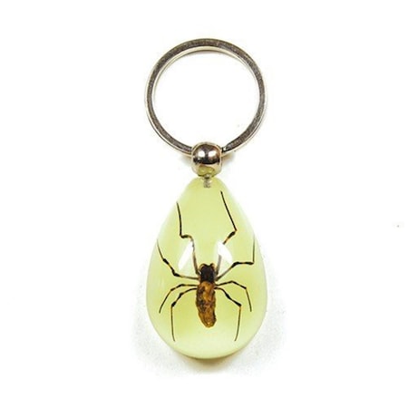 Ed Speldy East Key Chain Tear Drop Shape Glow in the Dark Spider YK610