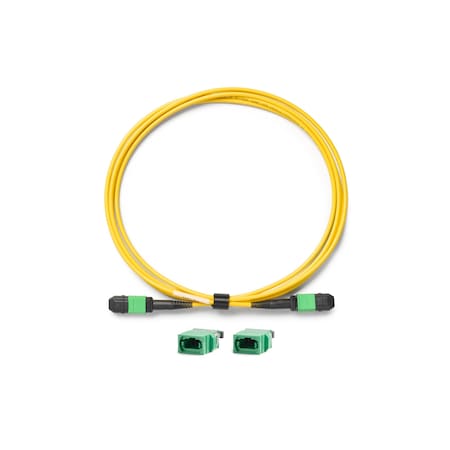 Fluke Networks Verification Cord TRC-SM-VERIFY-MPO12U