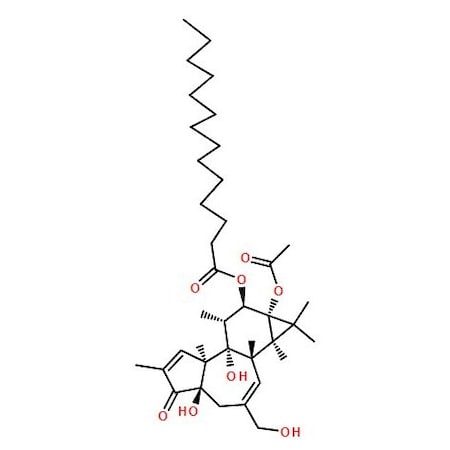 Ak Scientific 12-O-tetradecanoyl phorbol-13-acetate (5mg), CAS 16561-29-8 V0265-5mg