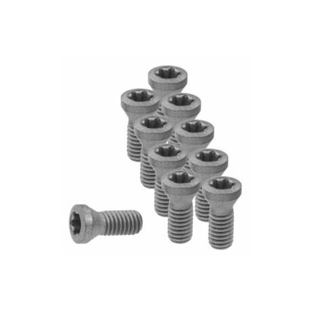 Garant Set of Insert Screws, 10 Pieces 219833