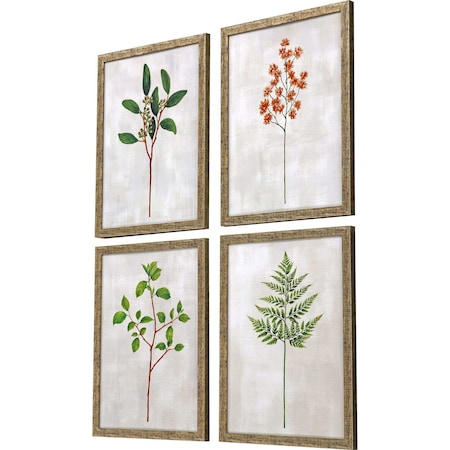Homeroots Set Of Four Botanical I Gold Framed Print Wall Art, 4PK 526121