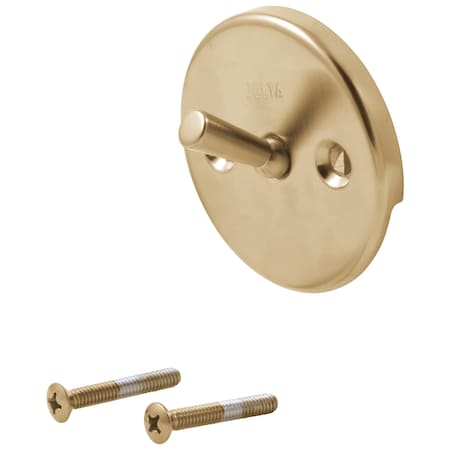 Delta Other Overflow Plate & Screws - Trip Lever RP31555CZ