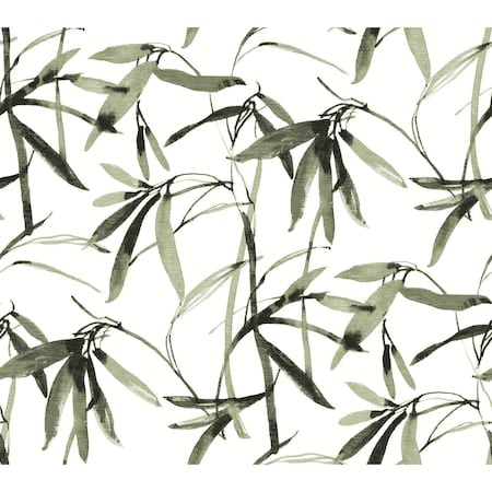 York Wallcoverings Bamboo Ink Green and Black Wallpaper BW3842