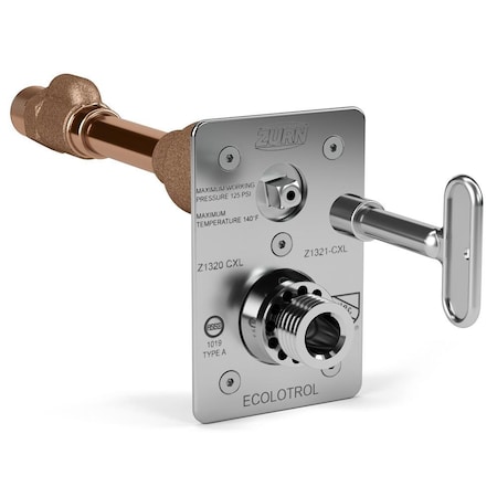 Zurn Z1321-C-WC 10" Wall Hydrant Z1321-CXL-10-WC