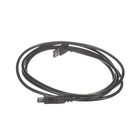 Henny Penny USB Cable, 2.0 MM10017409