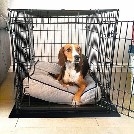 Floortex P-Tex Polypropylene Pet Crate Floor Protection Mat - XXL - 32" x 50" NCSMFLLS0003
