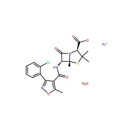 Ak Scientific Cloxacillin sodium monohydrate (1g), CAS 7081-44-9 Y0550-1g